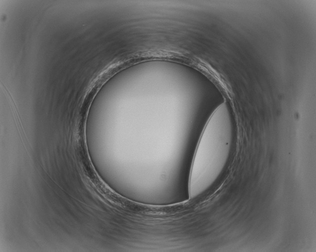 X0000086320203200703300914