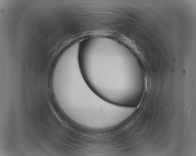 X0000086320205200703300914