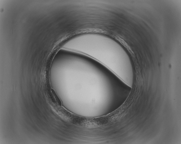 X0000086320207200703300913