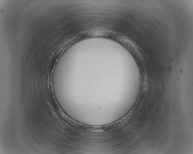 X0000086320210200703300913