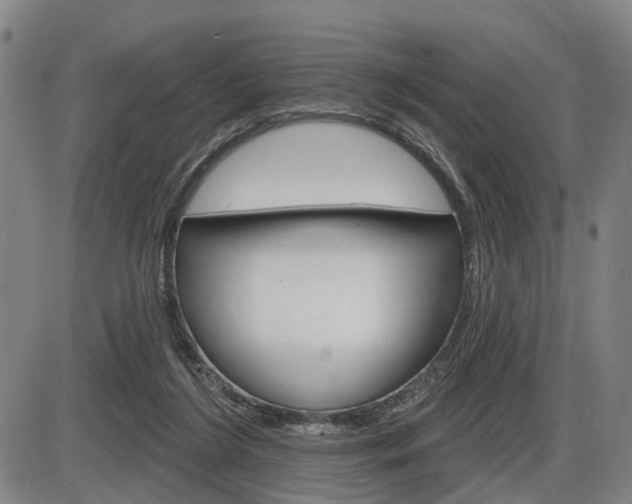 X0000086320212200703300913