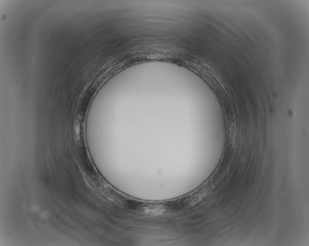 X0000086320214200703300913