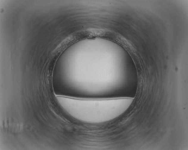 X0000086320215200703300913