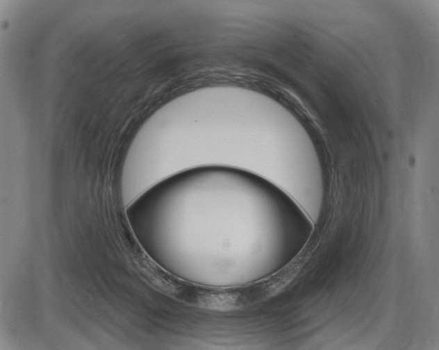 X0000086320217200703300913