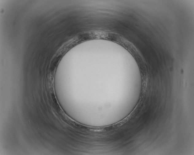 X0000086320218200703300913