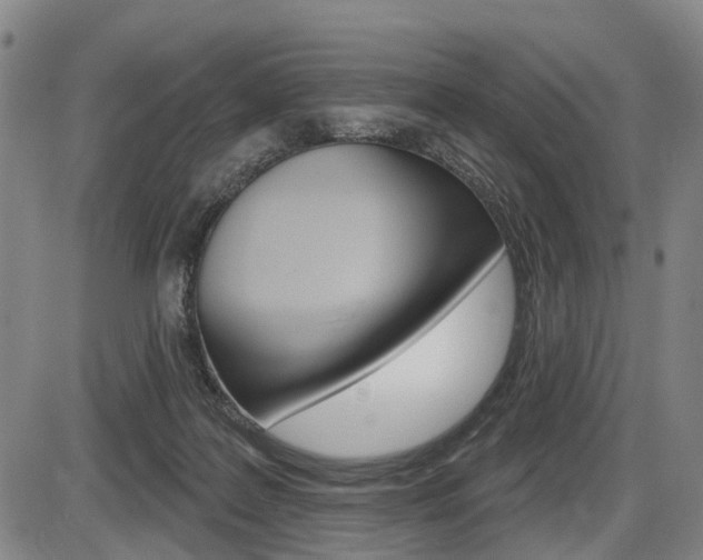 X0000086320219200703300913