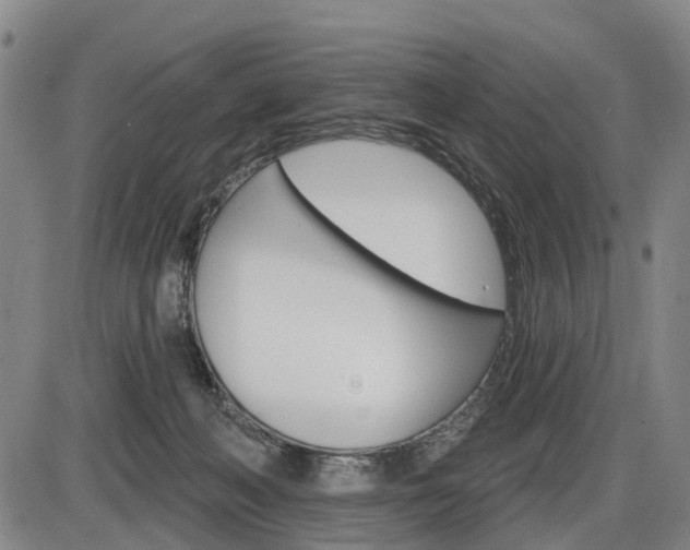 X0000086320222200703300913