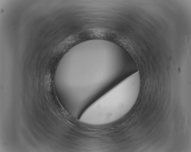 X0000086320223200703300913