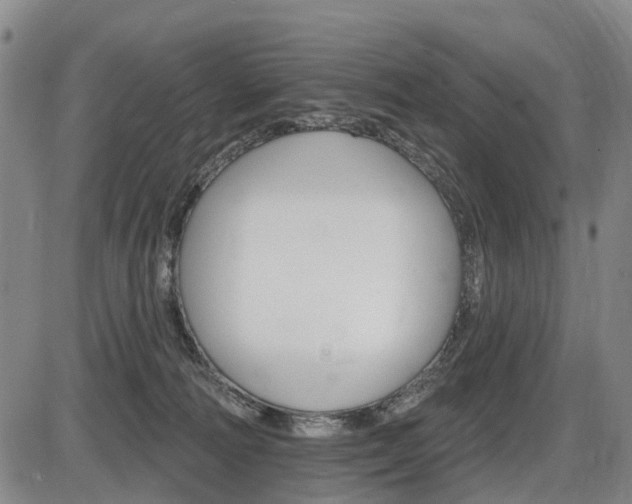X0000086320226200703300913