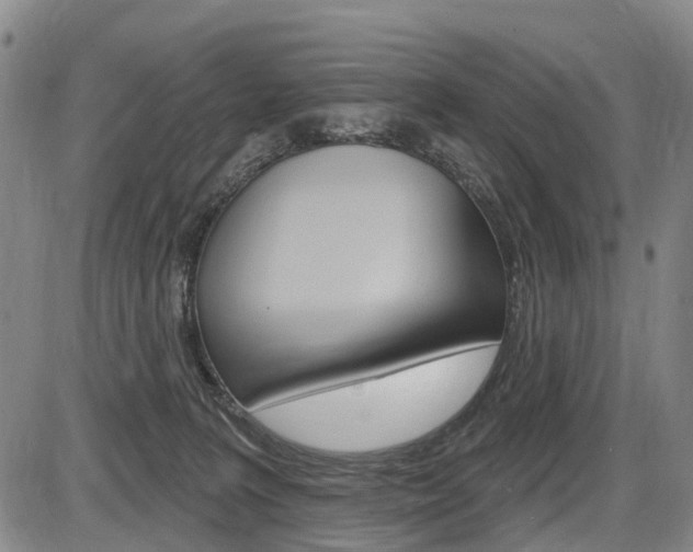 X0000086320227200703300913