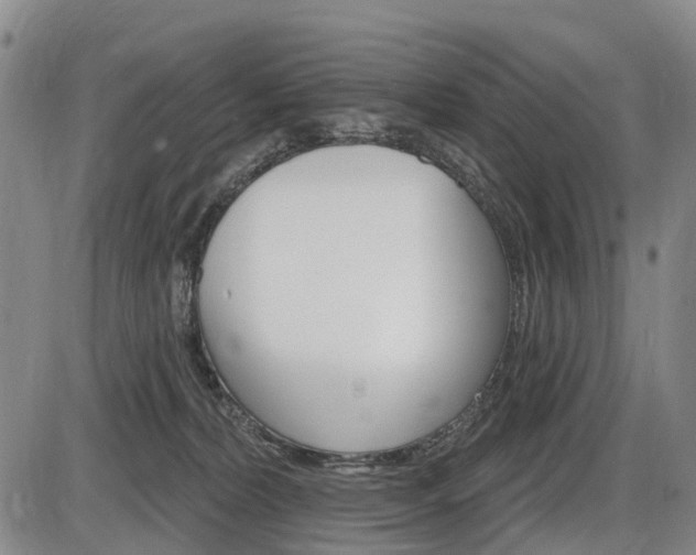 X0000086320228200703300913