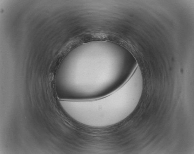 X0000086320229200703300913