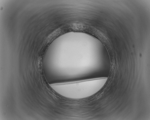 X0000086320233200703300913