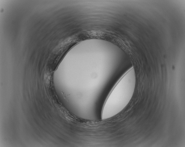 X0000086320235200703300913