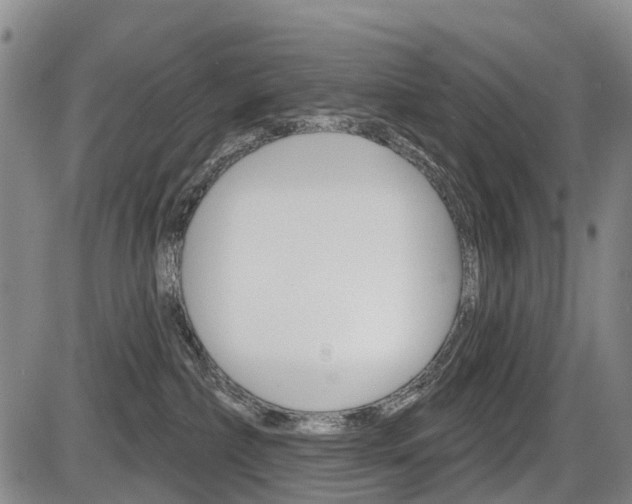 X0000086320236200703300913