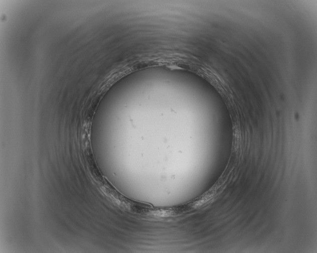 X0000086320237200703300913