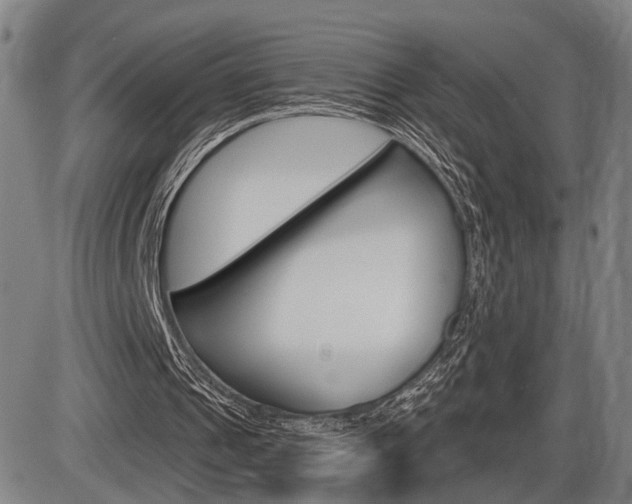 X0000086320241200703300912