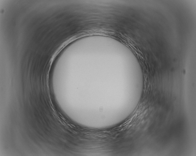 X0000086320244200703300912