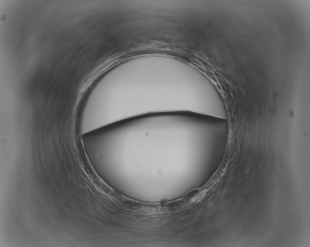 X0000086320245200703300912