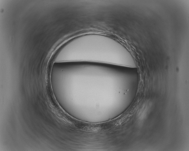 X0000086320247200703300912