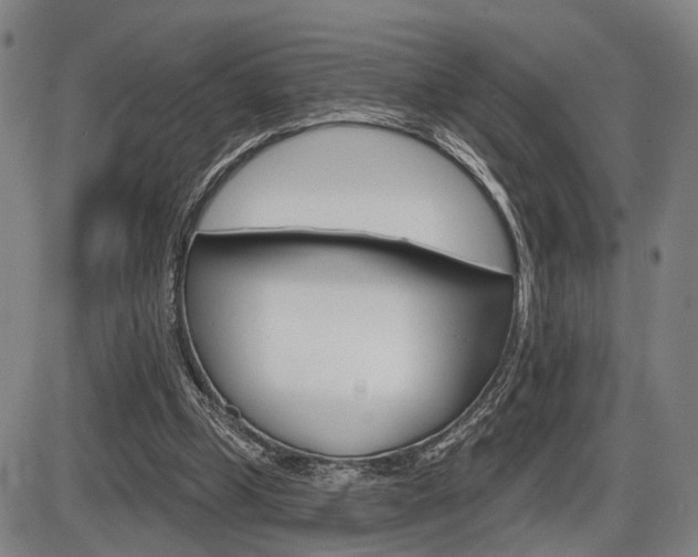 X0000086320249200703300912