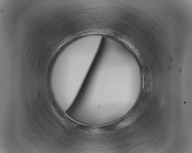 X0000086320253200703300912