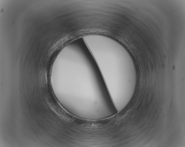 X0000086320254200703300912