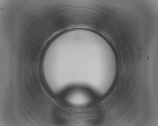 X0000086320256200703300912