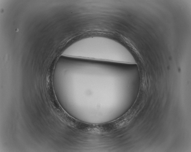 X0000086320259200703300912