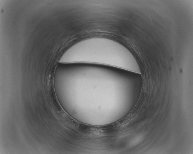 X0000086320263200703300913