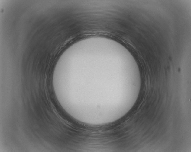 X0000086320264200703300913