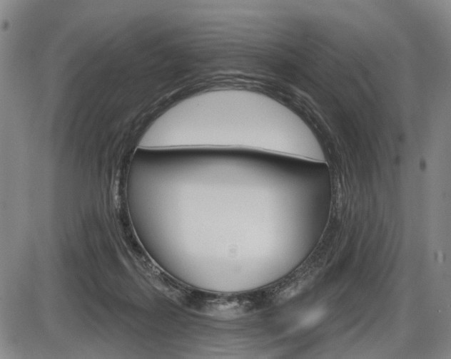 X0000086320267200703300913