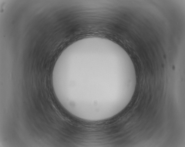 X0000086320272200703300913