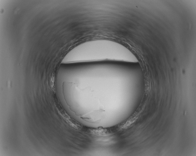X0000086320281200703300913