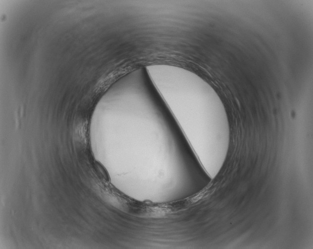 X0000086320286200703300913