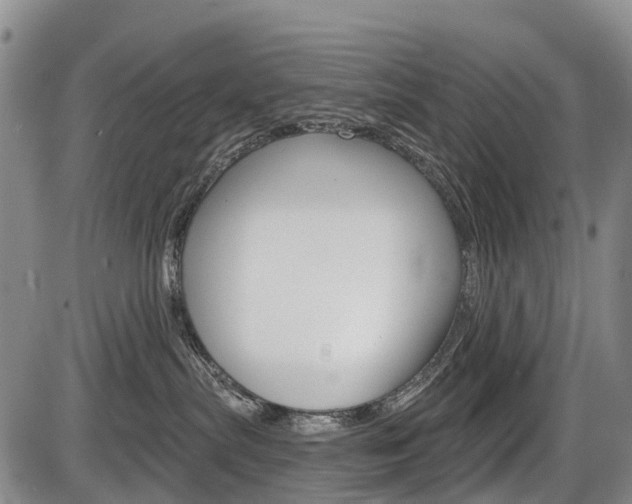 X0000086320287200703300913