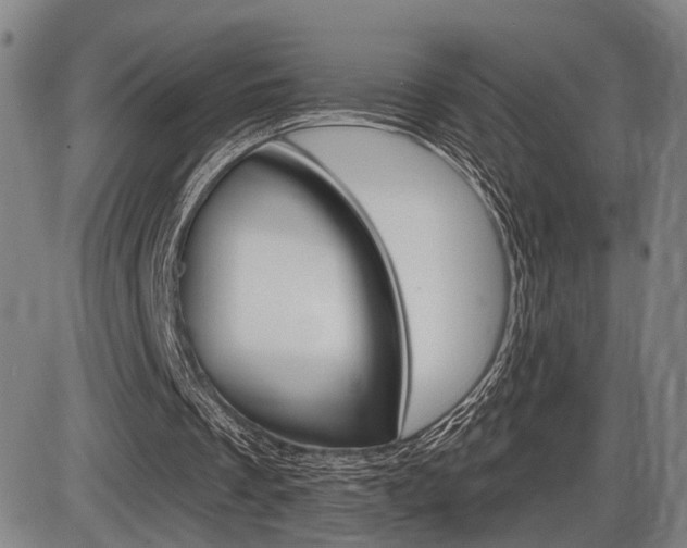 X0000086320289200703300912