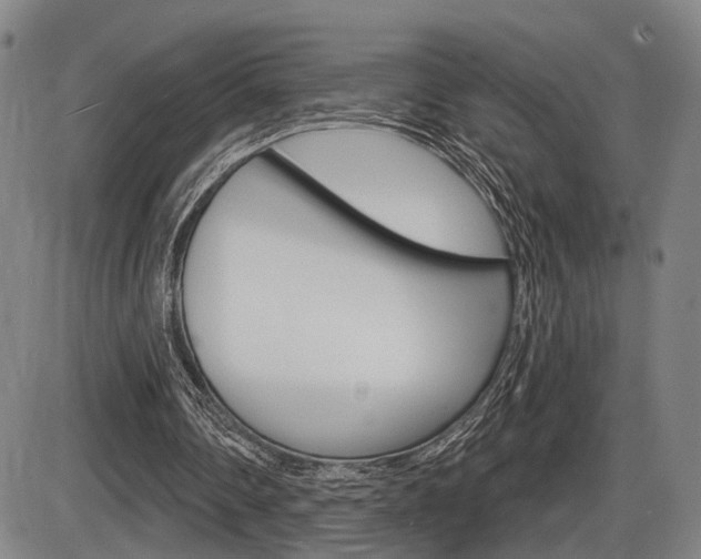 X0000086320290200703300912