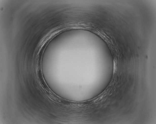 X0000086320291200703300912
