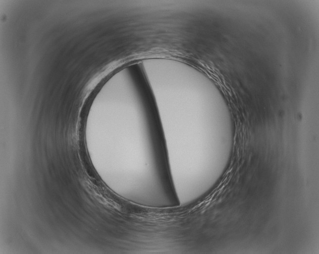 X0000086320292200703300912