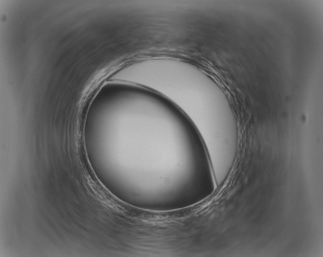 X0000086320293200703300912