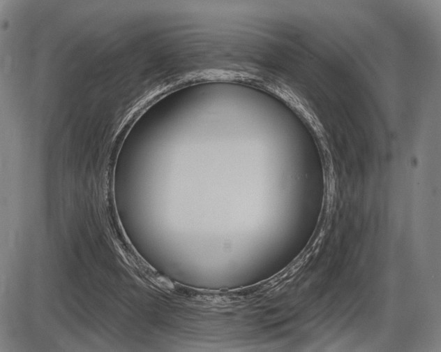 X0000086320297200703300912