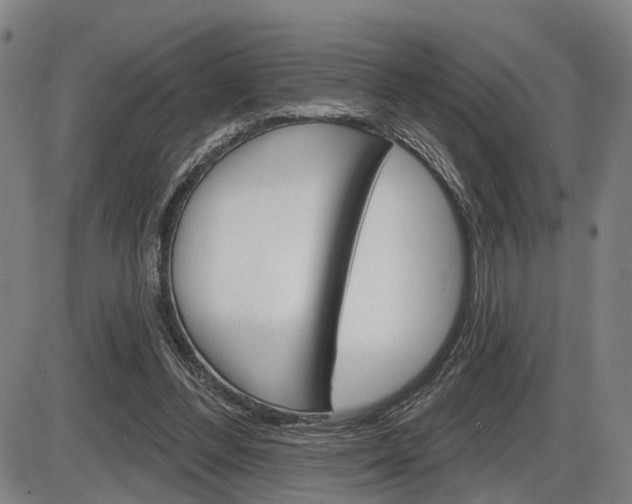 X0000086320300200703300912
