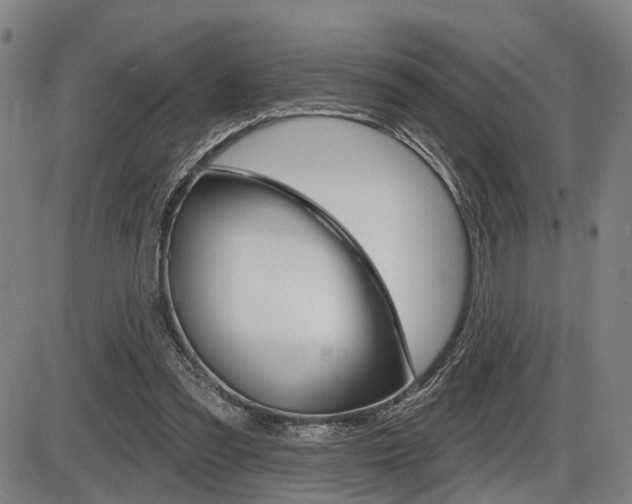 X0000086320301200703300912