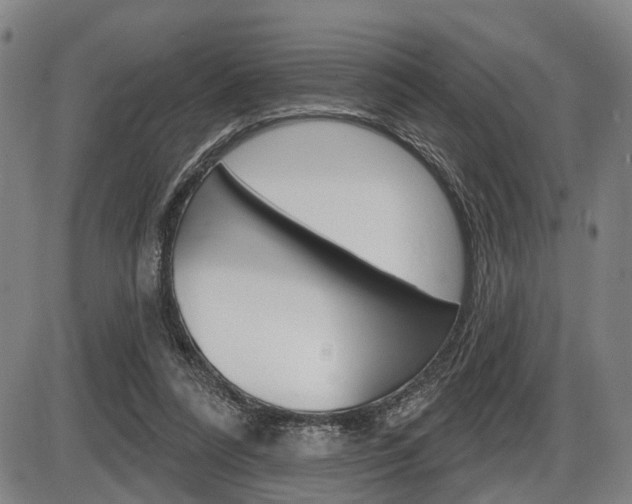 X0000086320304200703300912