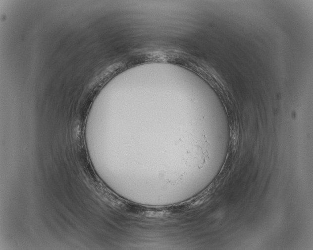X0000086320314200703300912