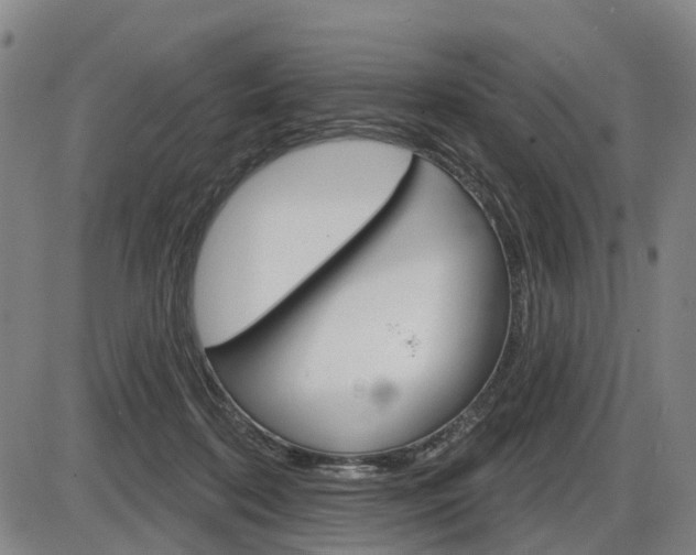 X0000086320316200703300912