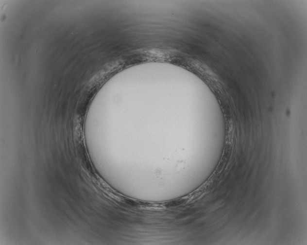 X0000086320318200703300912