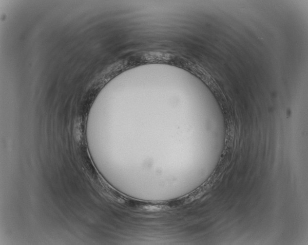 X0000086320323200703300912