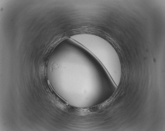 X0000086320333200703300911
